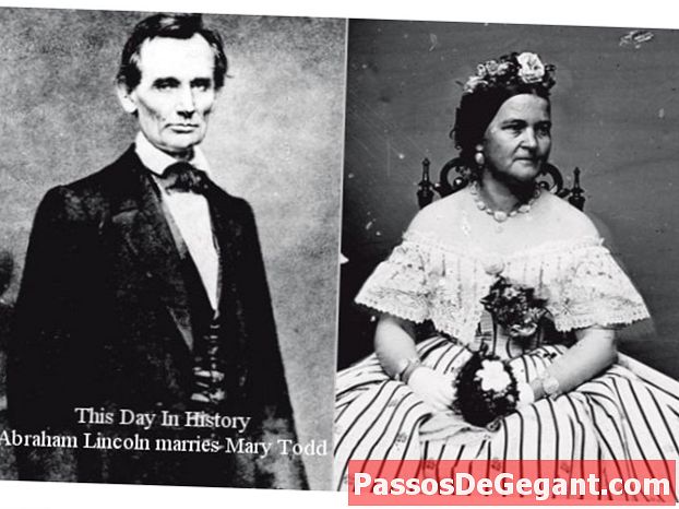 Abraham Lincoln se casa con Mary Todd
