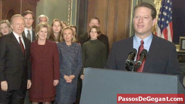 Al Gore concede eleição presidencial - História