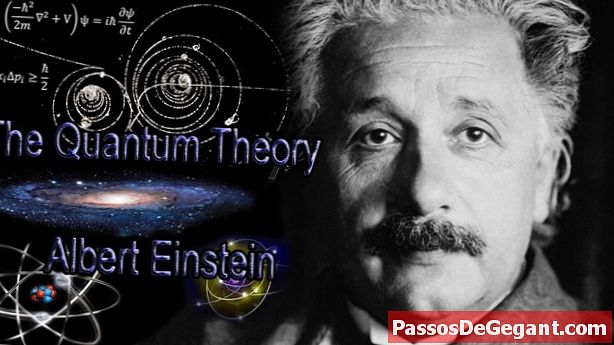 Albert Einstein született