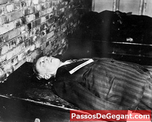 Alfred Rosenberg teloitetaan