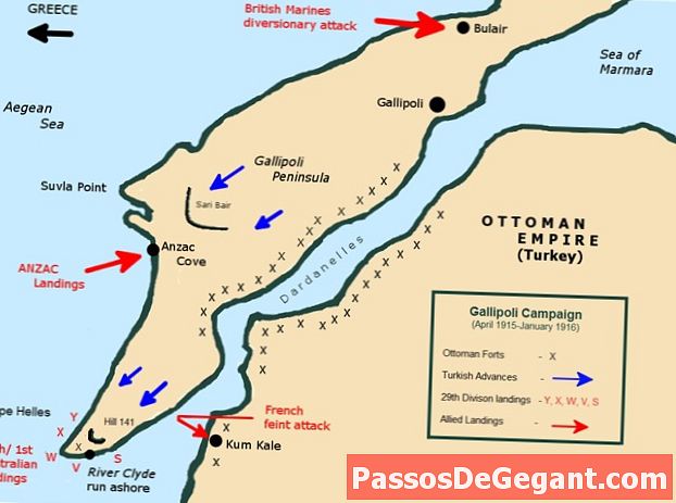 A szövetségesek megkezdik a inváziót a Gallipoli-ban