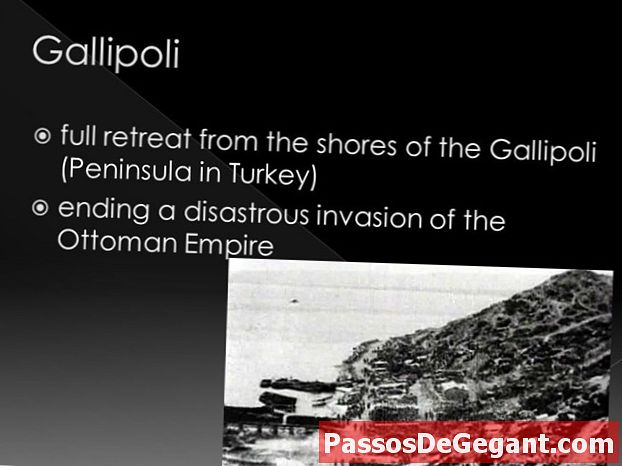 Spojenci ustoupí z Gallipoli
