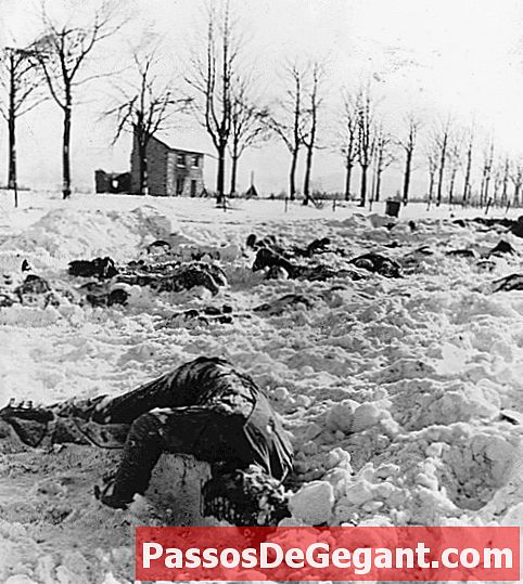 Saksalaisten teurastamia liittolaisia ​​Arnhemissa - Historia
