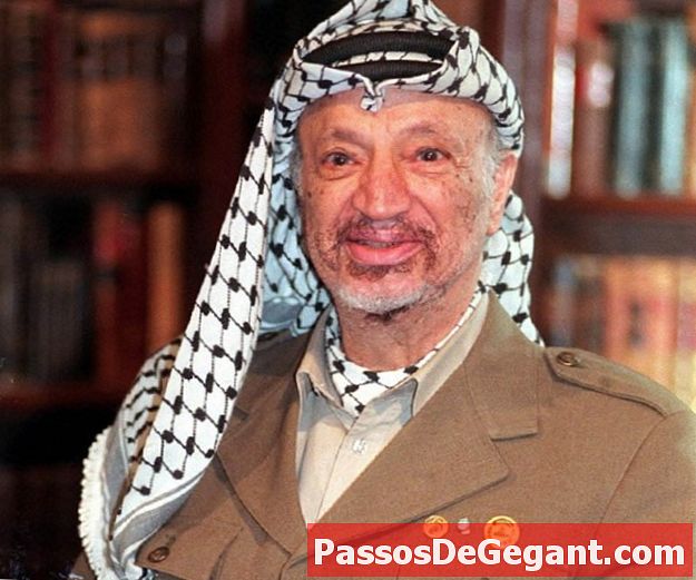 Arafat valgt til leder af Palæstina