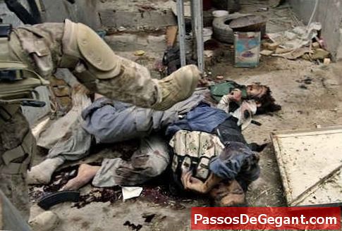Ο μεγάλος στρατός σκοτώνει 13 ανθρώπους στη φωτογράφηση του Φορτ Χουντ