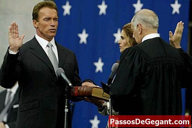 Arnold Schwarzenegger wird Gouverneur von Kalifornien