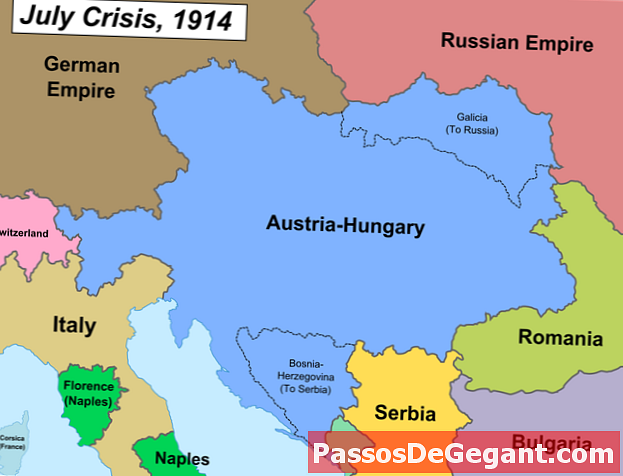 Австро-Венгрия аннексирует Боснию и Герцеговину
