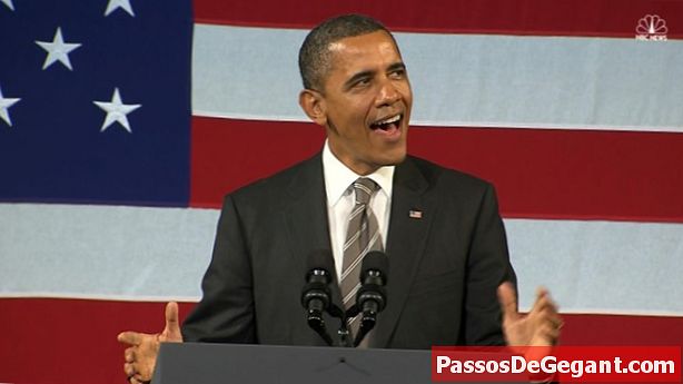 Barack Obama zum ersten schwarzen Präsidenten Amerikas gewählt