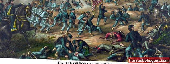 फोर्ट डोनल्सन की लड़ाई