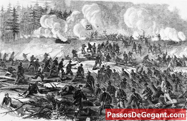 Megkezdődik a peterburgi csata