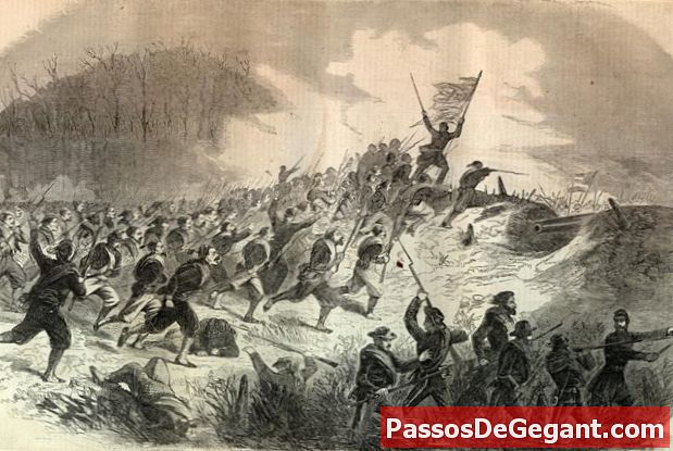 Roanoke salos mūšis