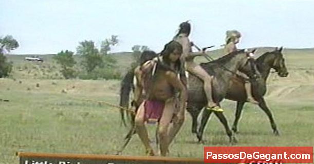 Bătălia Micului Bighorn