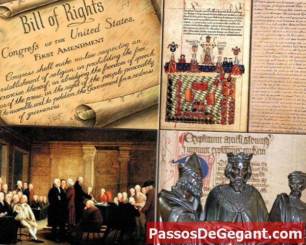 La Declaración de Derechos pasa el Congreso - Historia