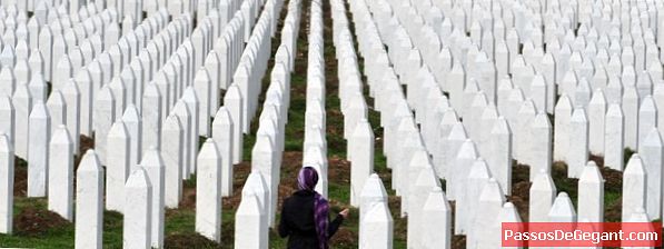 Bosniska folkmordet