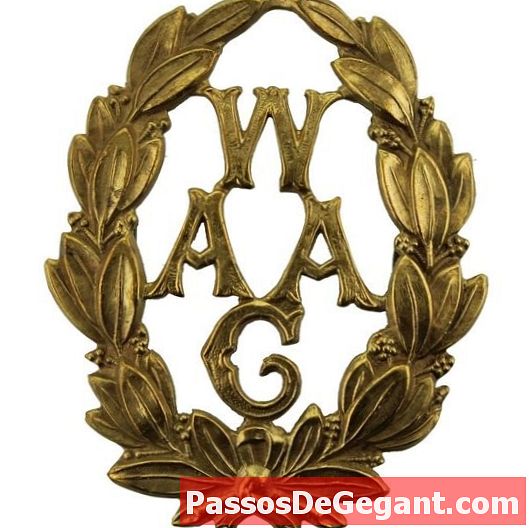 British Womens Auxiliary Army Corps är officiellt upprättat