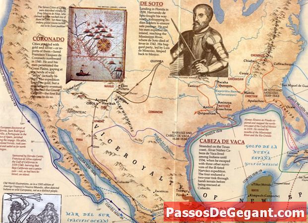 Cabeza de Vaca löytää Texasin - Historia