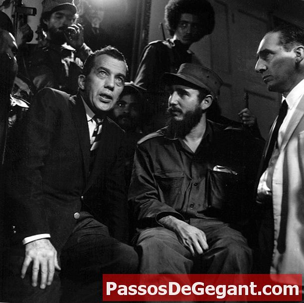 Castro bezoekt de Verenigde Staten