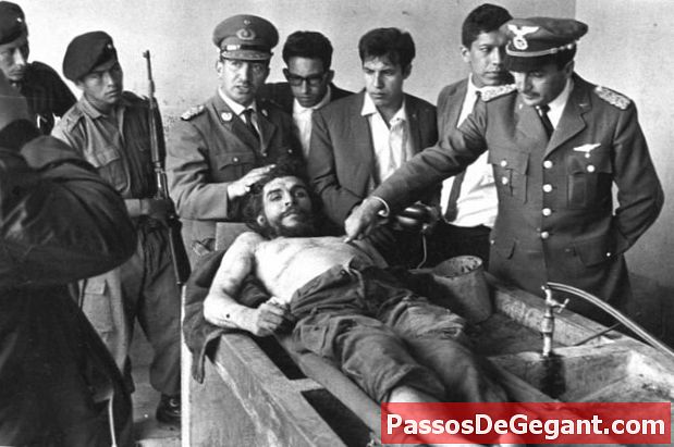 Che Guevara est exécuté