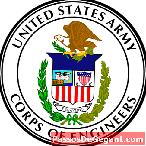 Congres vestigt het Amerikaanse leger Corps of Engineers