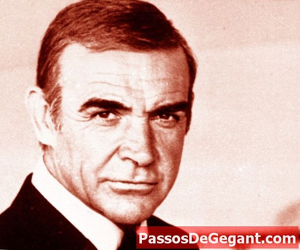 Connery interpreta Bond in Never Say Never Again
