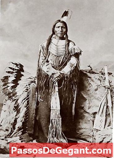 Crazy Horse harcol a végső csatában