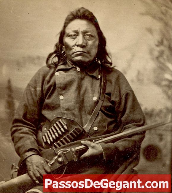 Crazy Horse kæmper sidste kamp - Historie