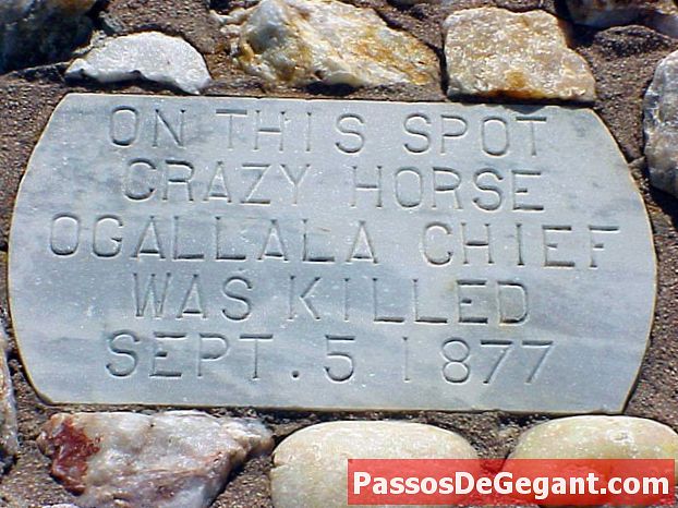 Crazy Horse dödade - Historia