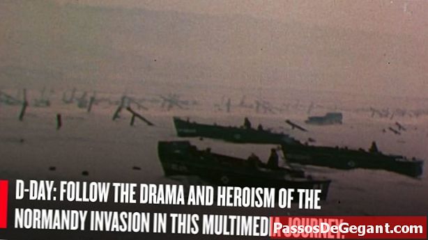 יום D: בעלות הברית מסתערות על חופי נורמנדי