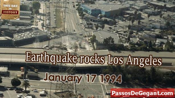 Động đất đá Los Angeles - LịCh Sử