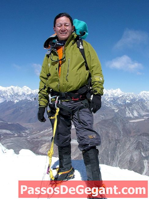 Едмънд Хилари и Тензинг Норгай достигат върха на Еверест