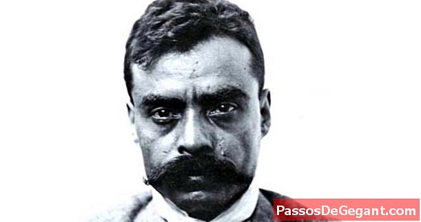 Emiliano Zapata født