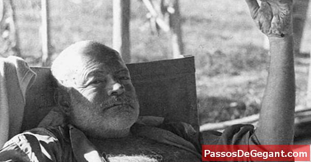Ernest Hemingway on syntynyt