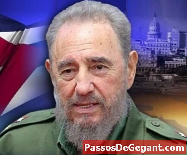 Fidel Castro född