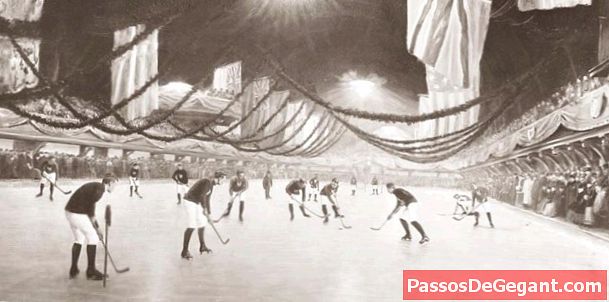 המשחק המקורה הראשון של הוקי הקרח