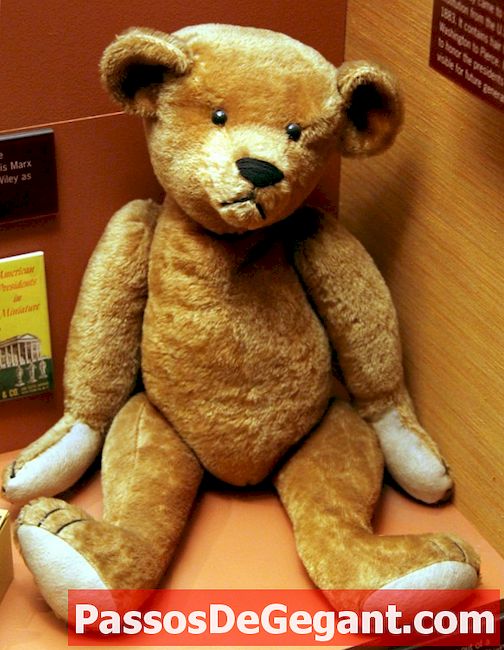 Перший ведмедик Тедді надходить у продаж