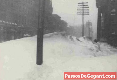 ’88’deki Büyük Blizzard, Doğu Yakası’nı vuruyor - Tarihçe