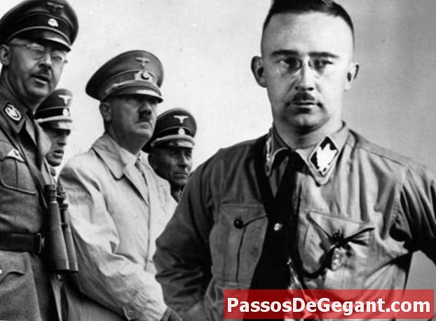 Himmler ordena ciganos a campos de concentração