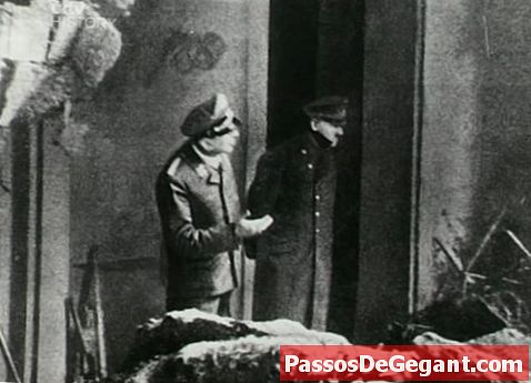 Hitler går ned i sin bunker