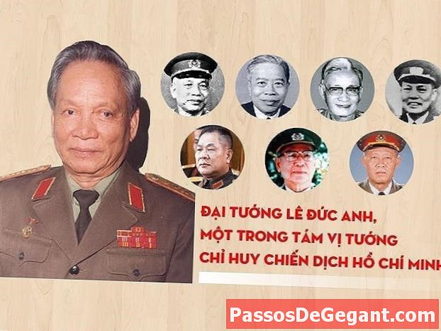 Ho Chi Minh maeti Hanoisse