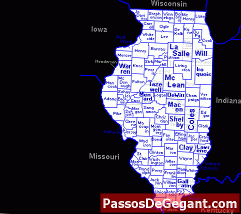 Illinois 21 devlet olur