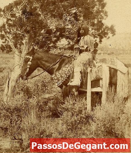 Indėnai plaka JAV kareivius Rosebud mūšyje