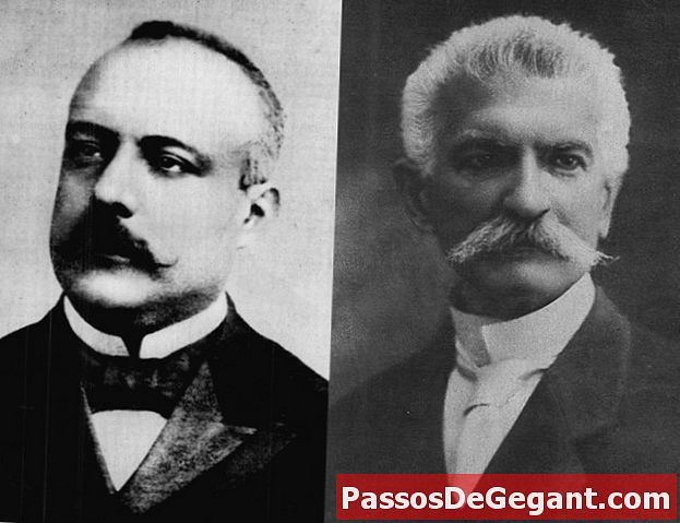 Italia declara la guerra a Austria-Hungría - Historia