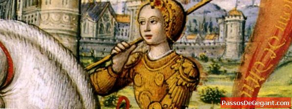 Ioana d'Arc - Istorie