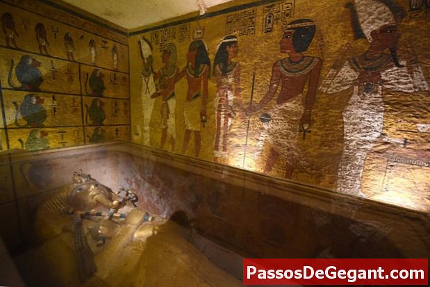 King Tuts sarkofag upptäcktes - Historia