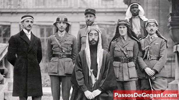 Lawrence of Arabia fanger Damaskus - Historie