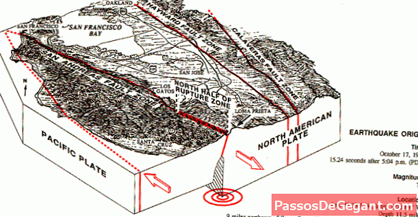 Loma Prieta -maanjäristys iski lähellä San Franciscota - Historia