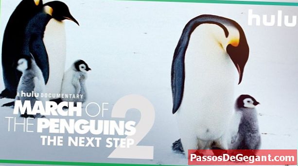 הופעת "צעדת הפינגווינים"
