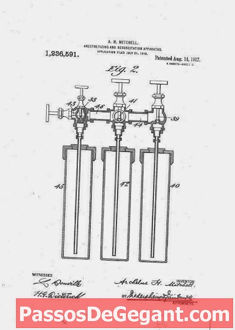 Mary Anderson brevetta il tergicristallo