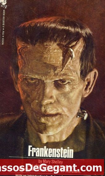 Mary Shelley publiceert Frankenstein