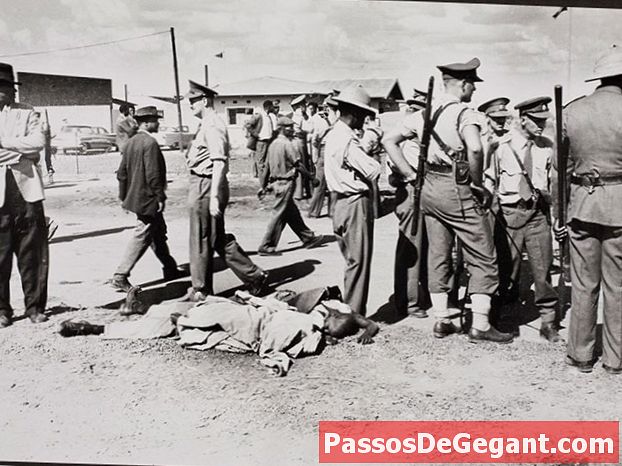Massacre Sharpeville'is - Ajalugu